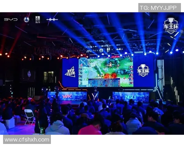 武汉排球队挑战赛特别报道：从默默无闻到荣耀巅峰的奋斗历程